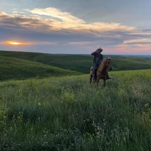 Meet your Posher, Merrill